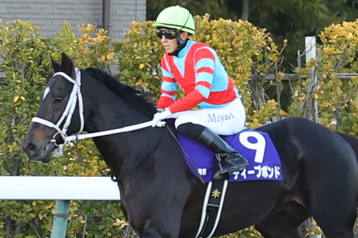ディープボンドは有馬記念で引退 京都で誘導馬に 大久保龍志調教師