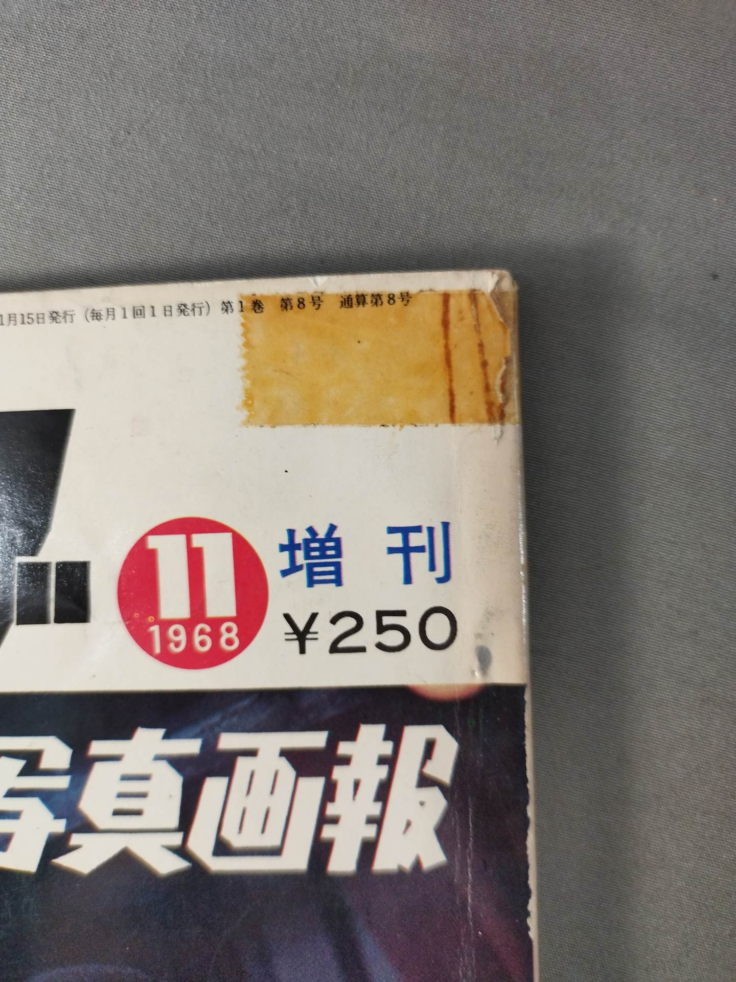 月刊ゴングVol.1 No.8増刊 – 闘道館