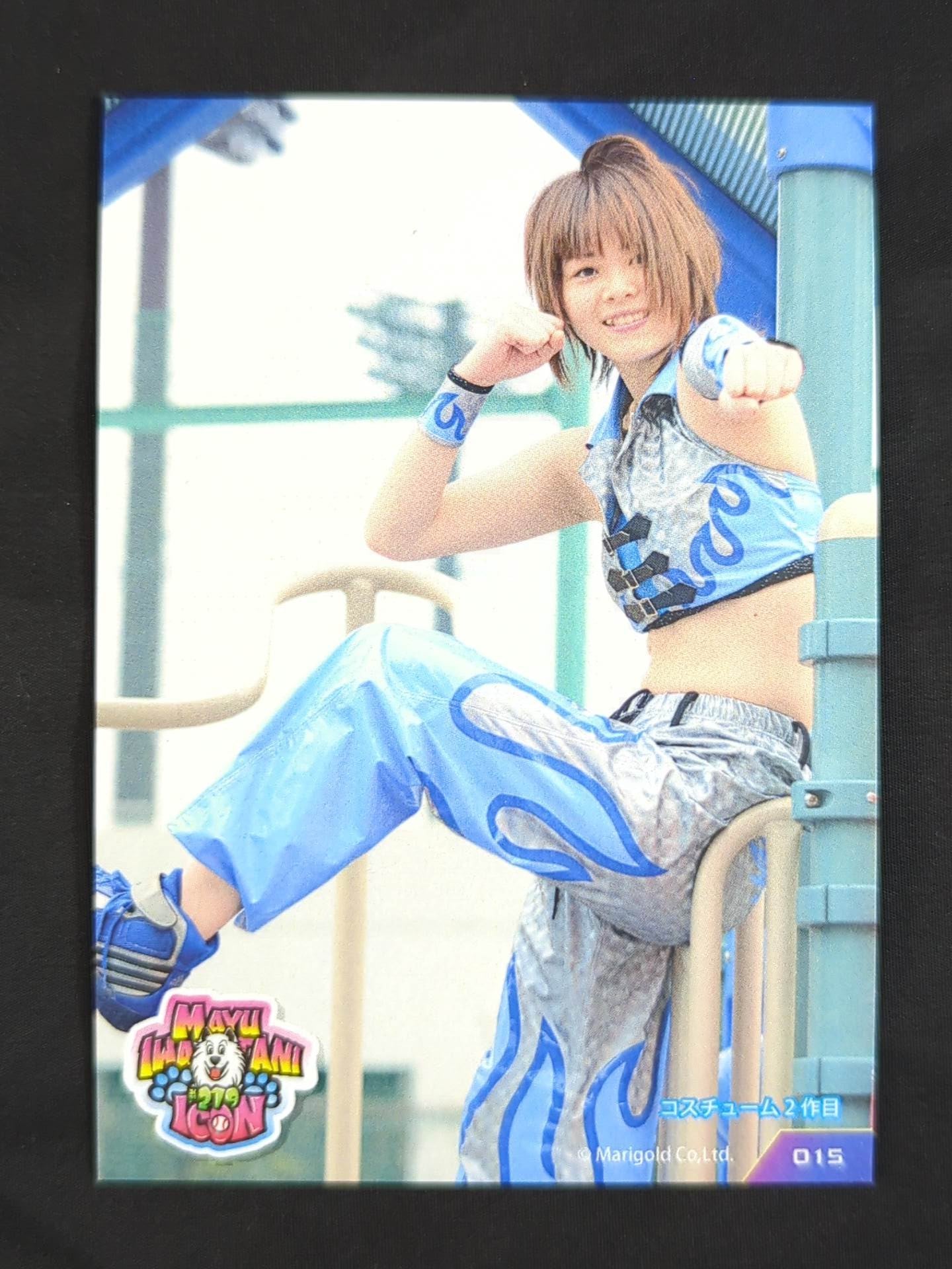 2026 MAYU IWATANI 15TH ANNIVERSARY CARD COLLECTION 岩谷麻優 公式