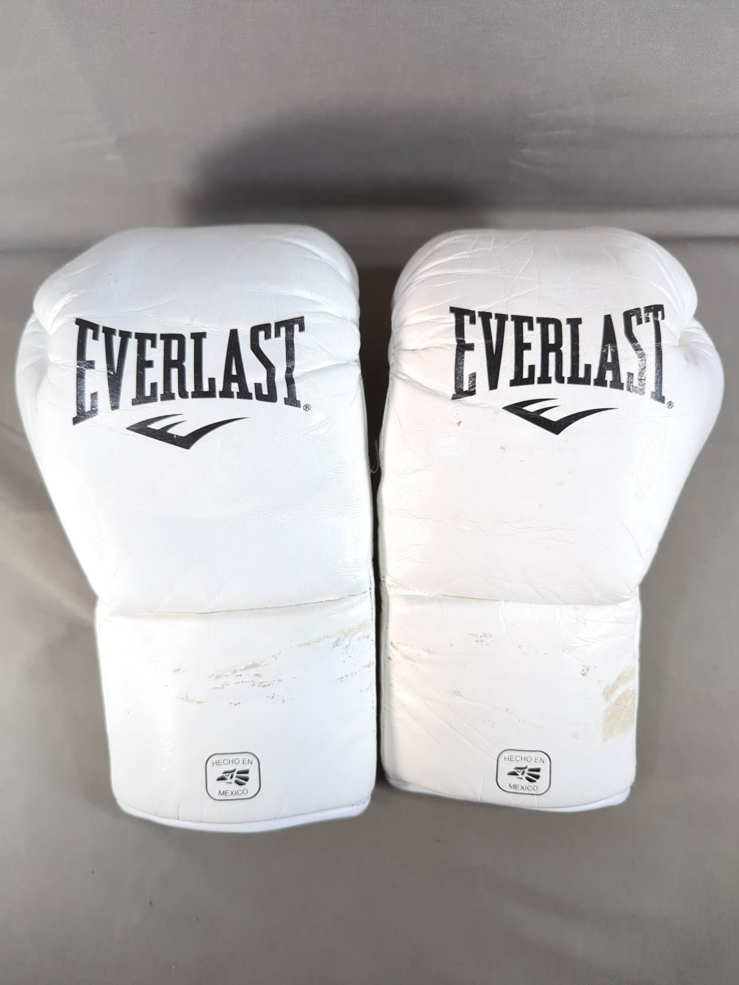 EVERLAST MX2 Fight Gloves – 闘道館