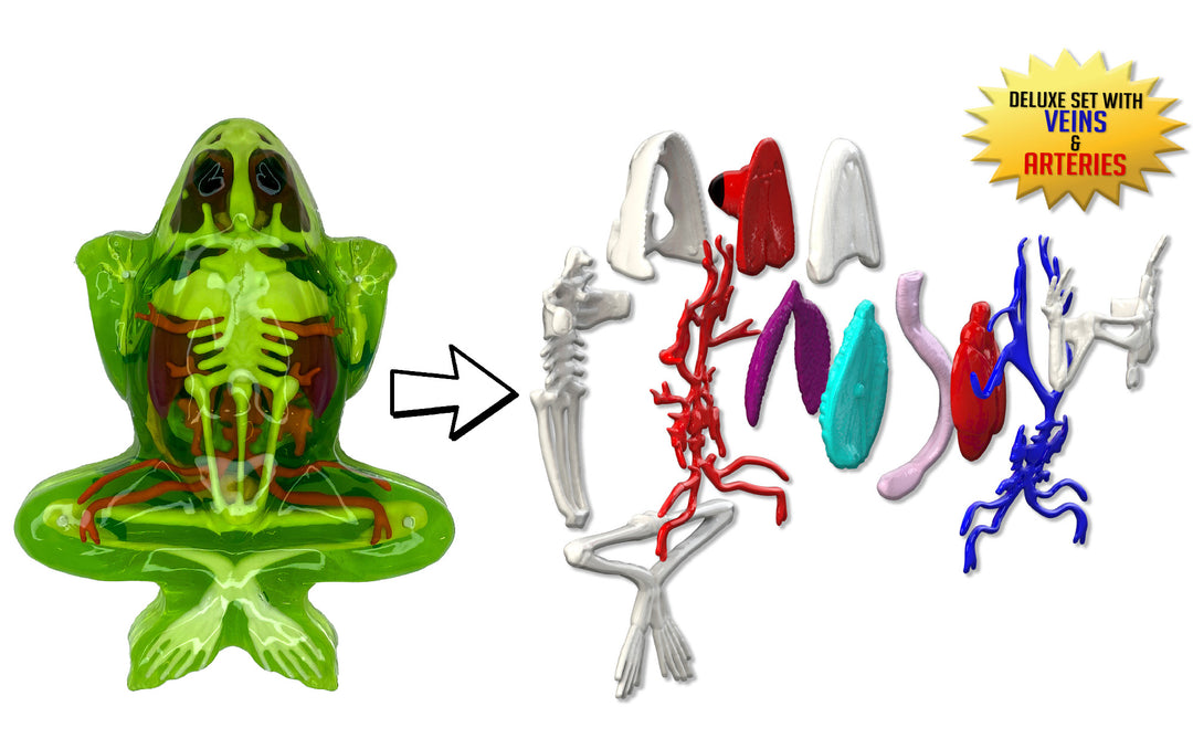 Dissect-It – Top Secret Toys