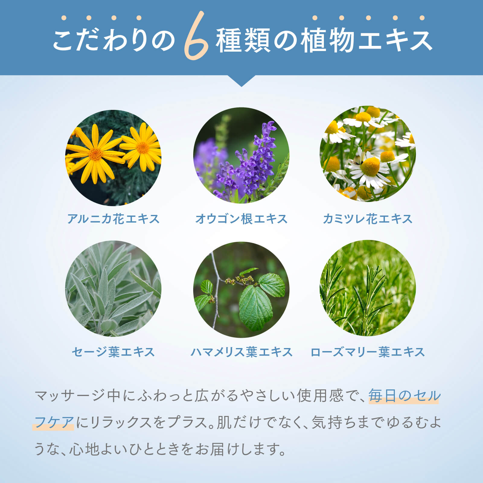 店舗販売・6個～】MSMクリーム 140g 日本製 | トワテック