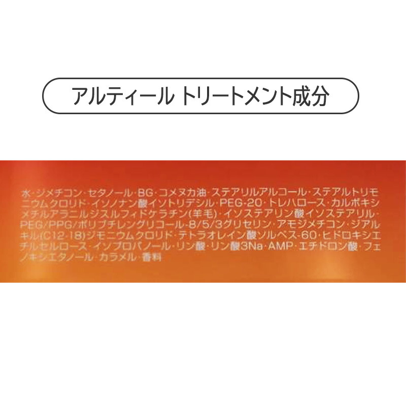 altieltr-seibun.jpg