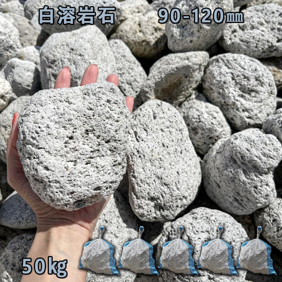 楽天市場】庭石 ごろた石 坪庭 アプローチ脇 白溶岩石（90〜120mm）5袋