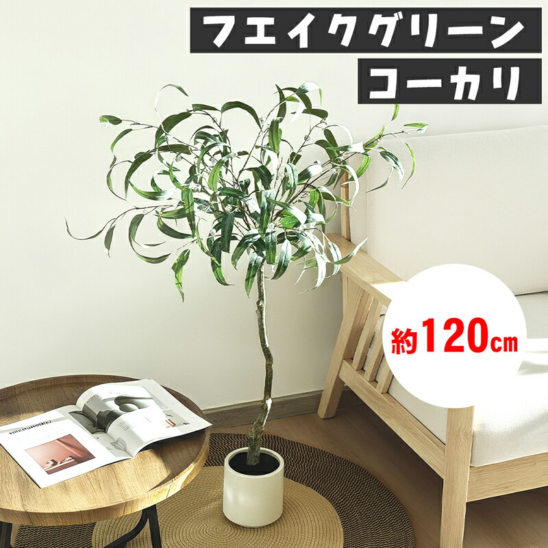 楽天市場】【マラソン限定！1000円OFF⇒⇒5498】フェイクグリーン 大型