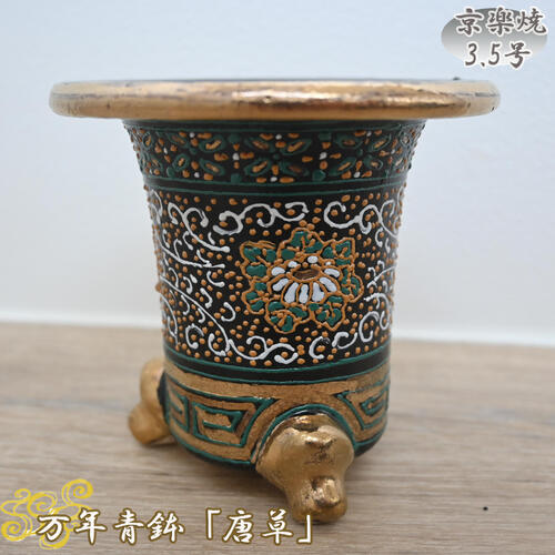 楽天市場】高級 国産 万年青鉢 唐草 京楽焼 3.5号 植木鉢 オモト 黒鉢
