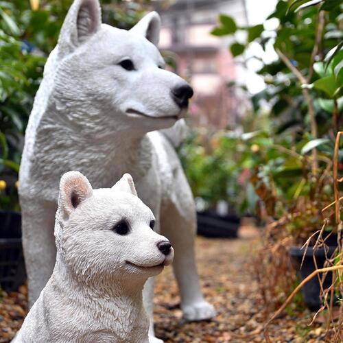 楽天市場】柴犬 豆柴 こゆき ゆきりん2つセット 置物 かわいい置物 犬