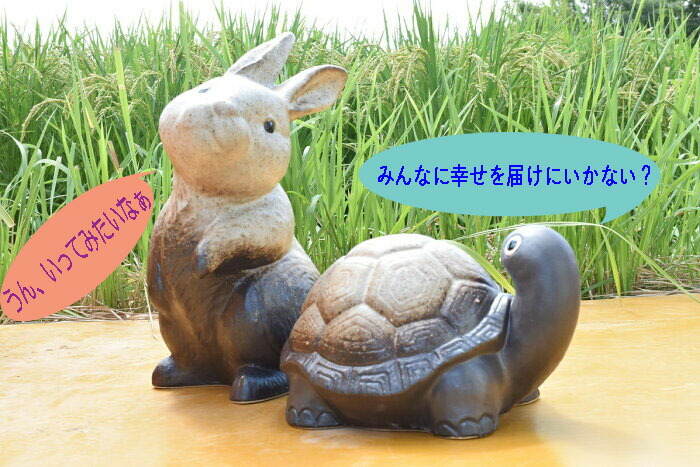 楽天市場】【開運を呼ぶ 亀さん】かめ 置物 インテリア かわいい 風水