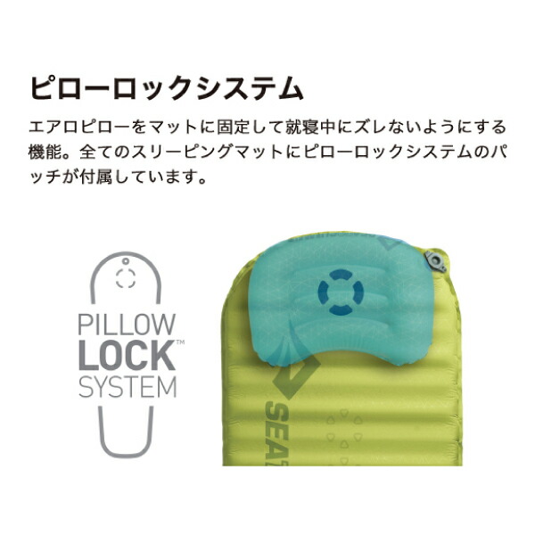 楽天市場】【20日は！枚数限定 最大1,000円OFFクーポン】シートゥ