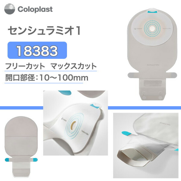 楽天市場】センシュラミオ 1 ライトの通販