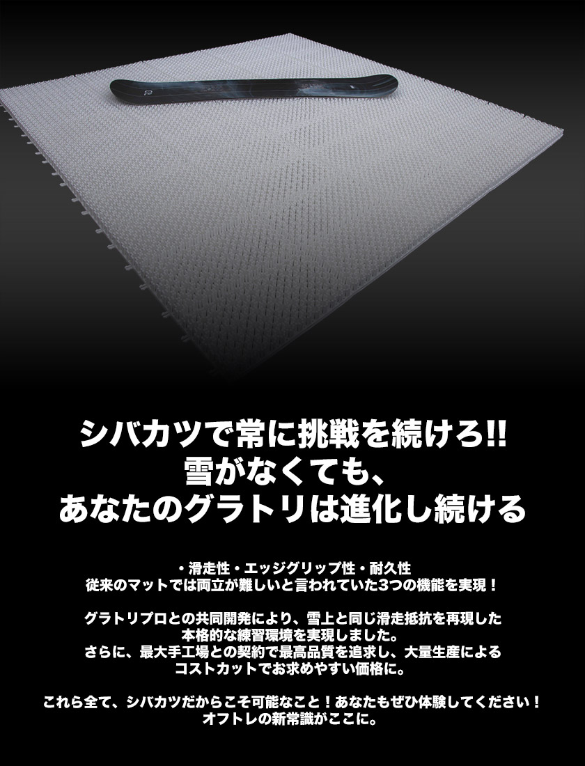 楽天市場】シバカツ スタンダードセット 15枚セット スノボオフトレ