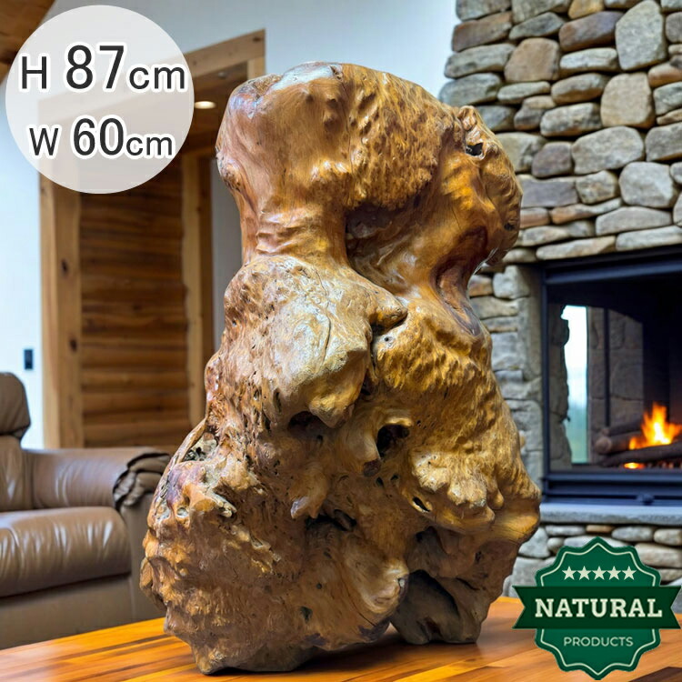 楽天市場】送料無料 自然木 楠 花鉢 展示品 オブジェ H87cm 家具 天然