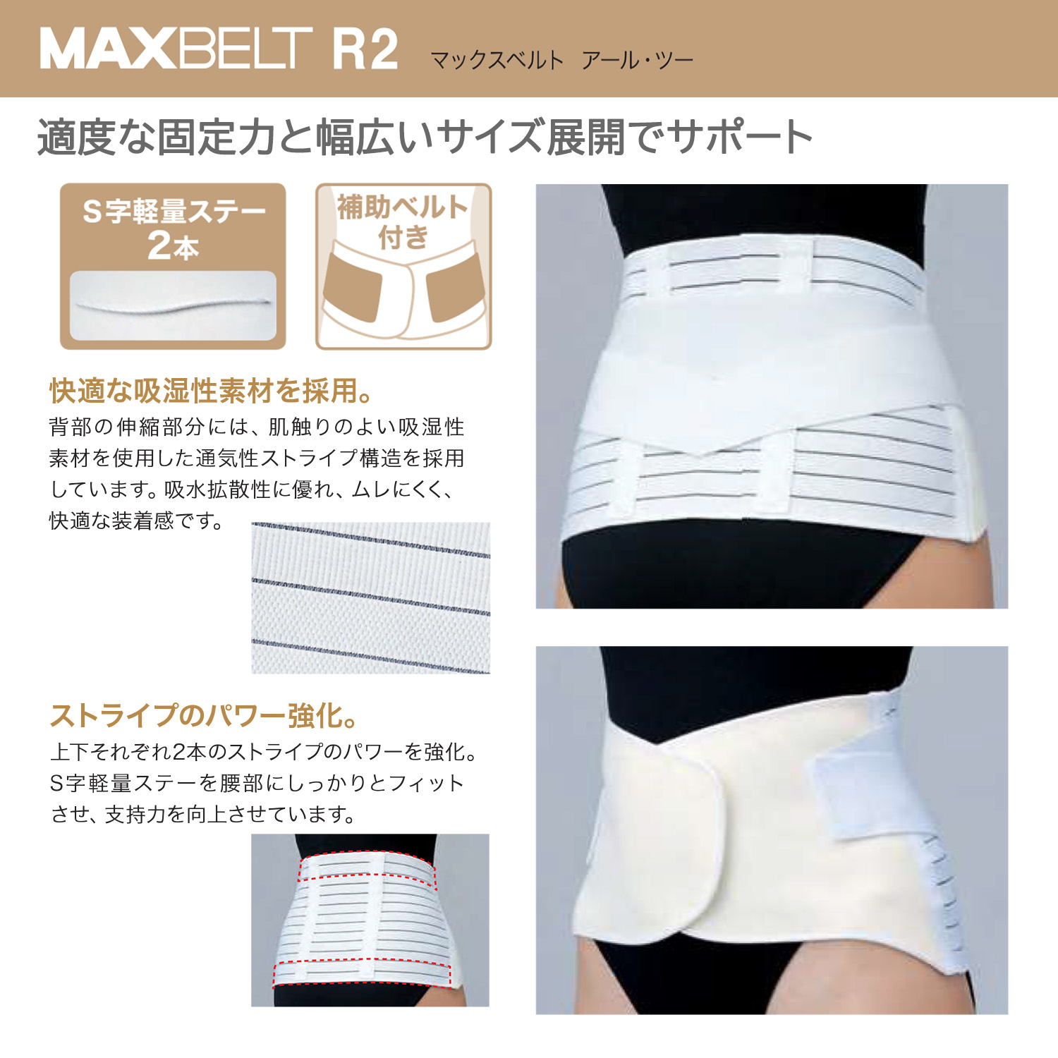 楽天市場】マックスベルト R2 321204（LL） 1個 日本シグマックス 19