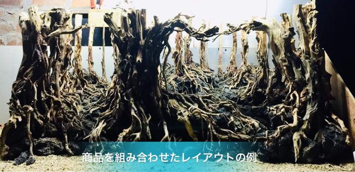 楽天市場】中型深い茂る熱帯雨林（水槽専用アート流木）盆栽アート
