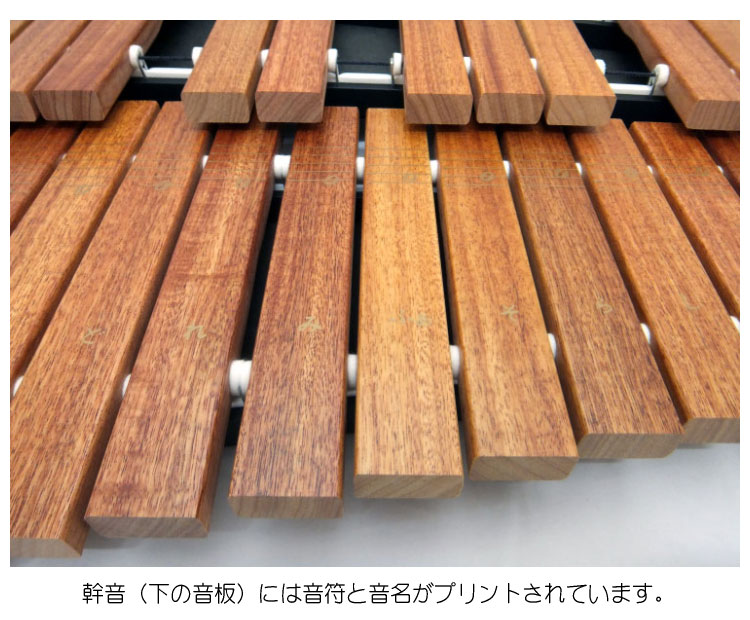 楽天市場】音程が良い卓上木琴□ZX32BK【音程イイ32音板】自宅練習
