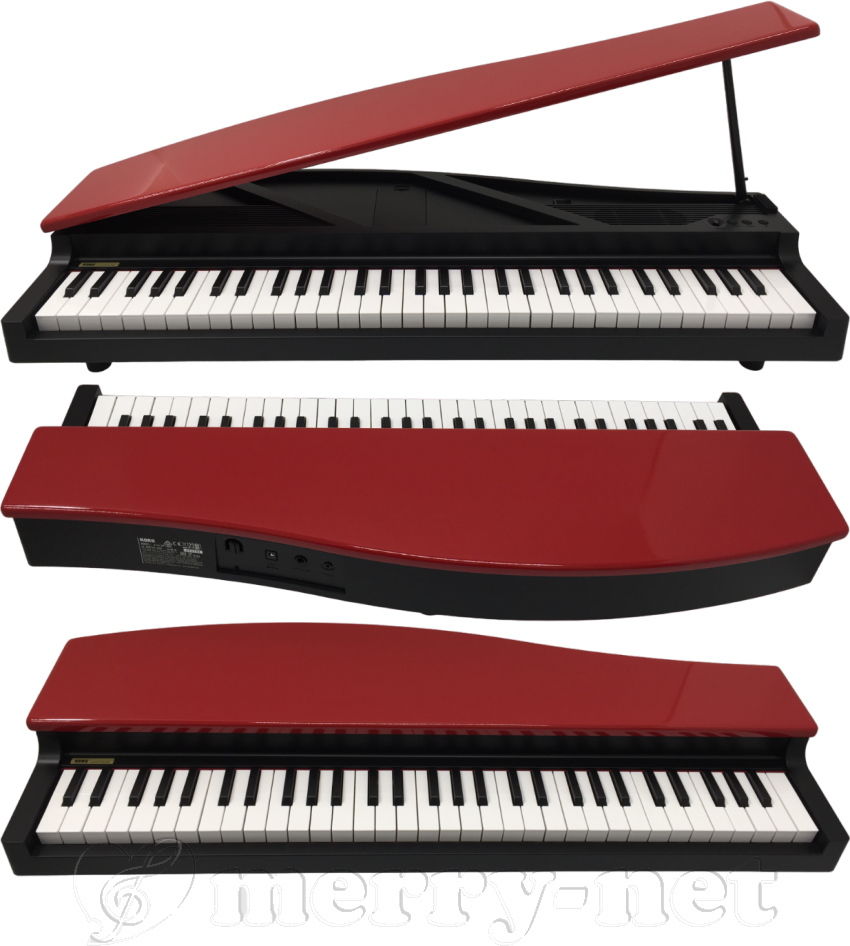 楽天市場】KORG microPIANO BK コルグ ピアノ型キーボード レッド