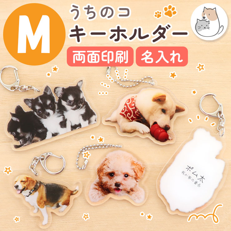 楽天市場】【1つ買うと同じものをプレゼント 3/11迄 】 写真