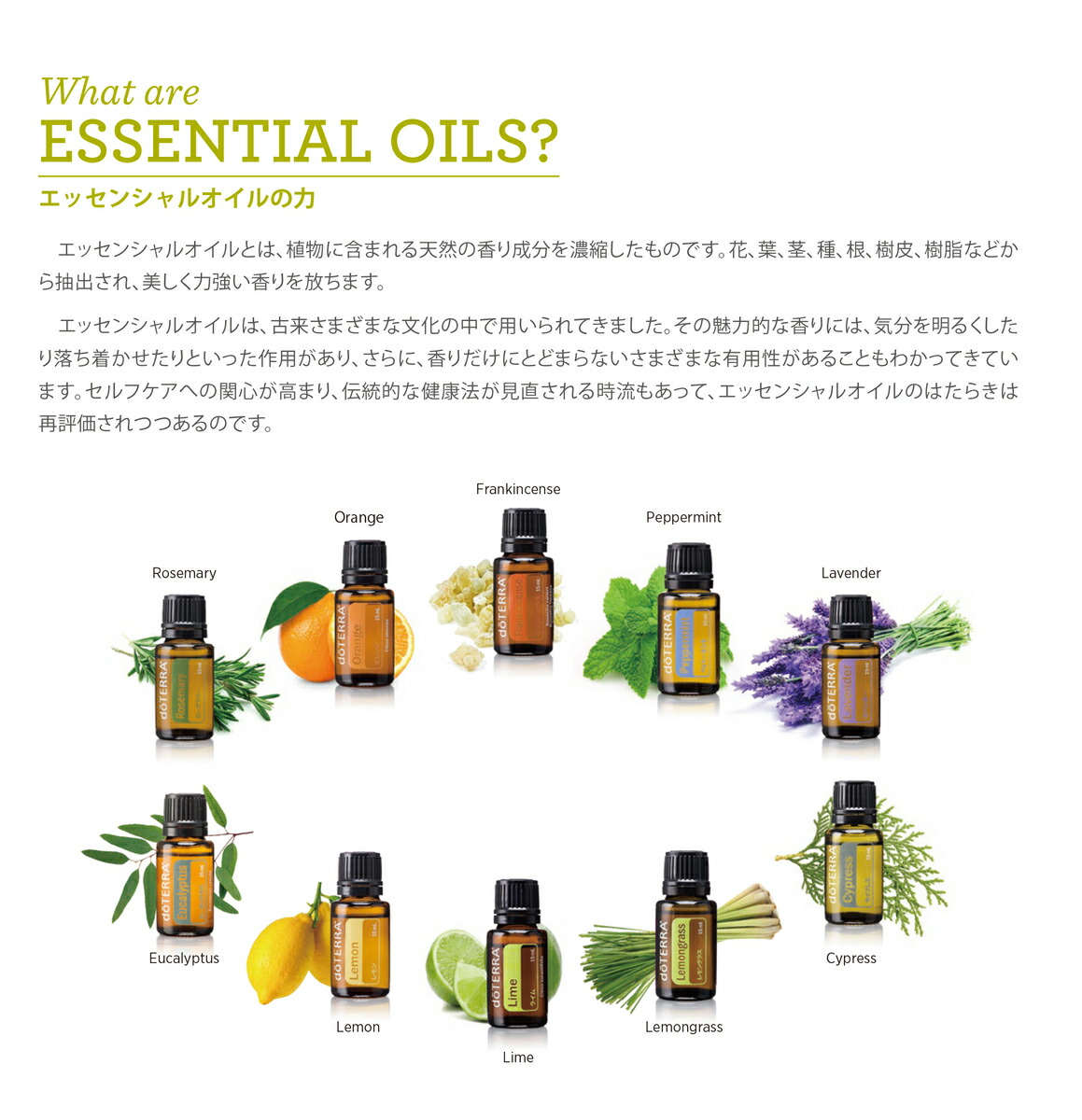 楽天市場】【平日15時まで/当日出荷】 ドテラ doTERRA シトラス