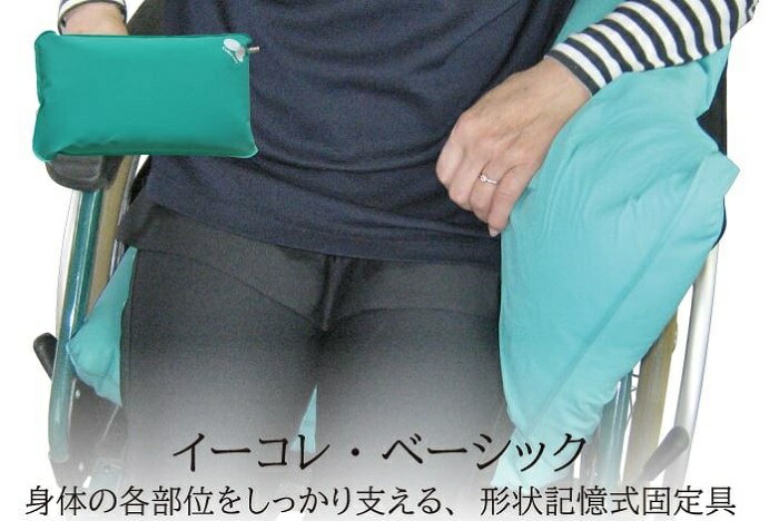 楽天市場】イーコレベーシックPL 丸ポンプ付き Lサイズ 45×80×5cm