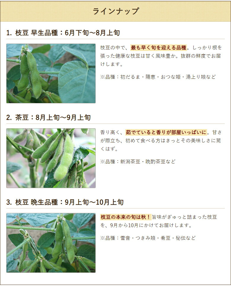 楽天市場】新潟産 枝豆 早生品種「1kg」or「2kg（1kg×2袋）」or「4kg