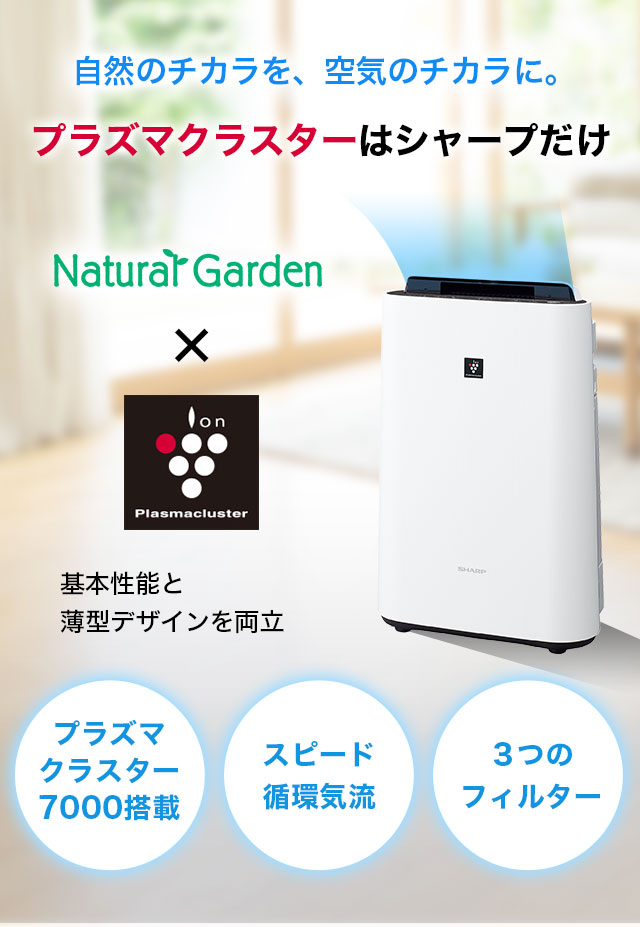楽天市場】【ポイント最大42倍＆最大1390円OFFクーポン25日まで