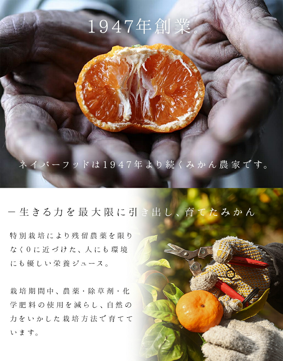 楽天市場】みかんジュース オレンジジュース 1000ml ストレート 100