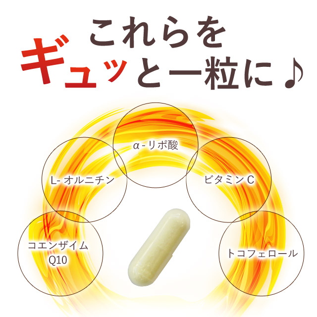 楽天市場】ダイエットサプリ α-リポ酸（約3ヶ月分）低価格 ダイエット