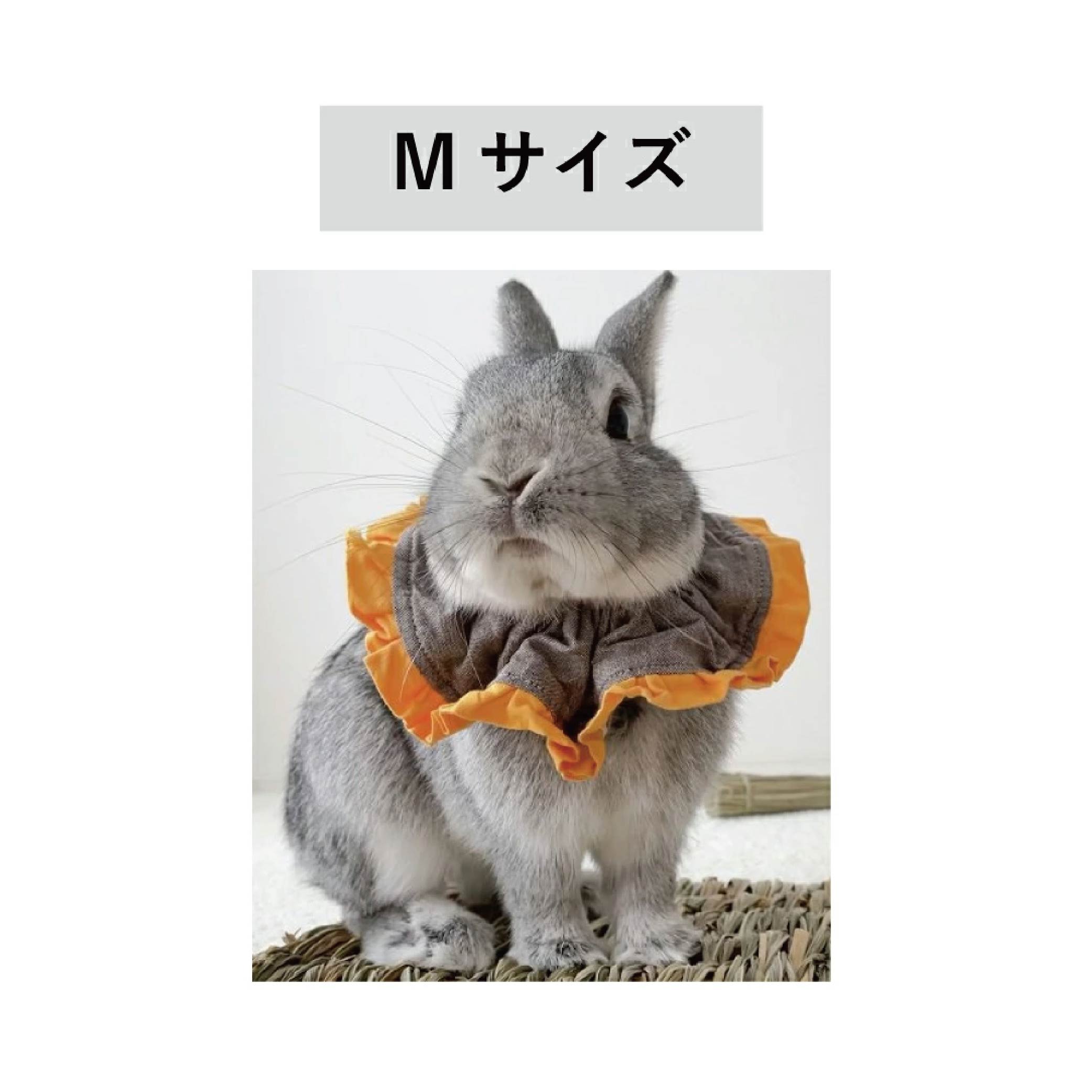 楽天市場】うさぎさんがごろんちょ出来る快適エリザベスカラー
