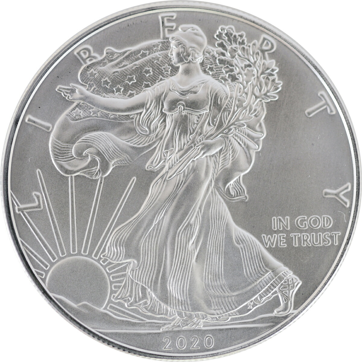 楽天市場】アメリカ 2020年 イーグル純銀銀貨 1オンス 31.1g 999silver