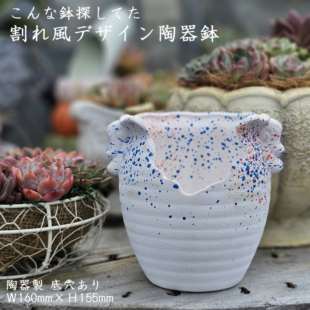 楽天市場】割れ風デザイン陶器鉢セット 中5＋M おしゃれ 陶器鉢 植木鉢