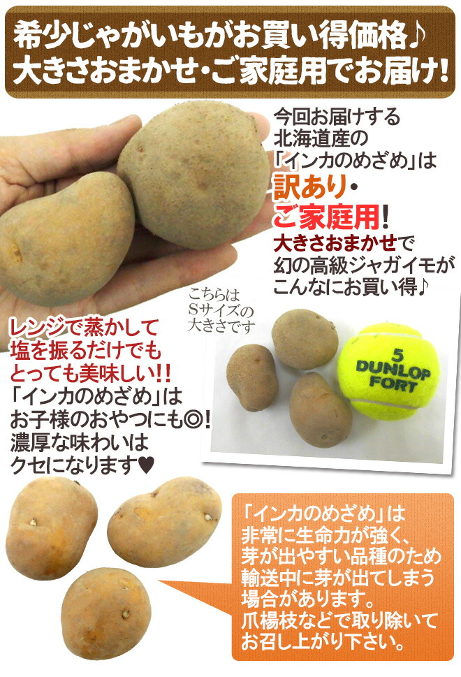 楽天市場】北海道 ”インカのめざめ” 訳あり 約10kg 大きさおまかせ