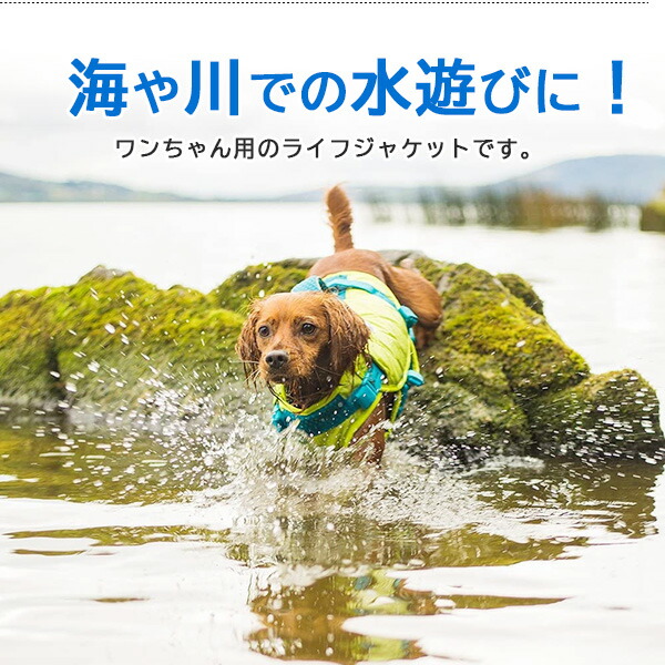 楽天市場】【在庫有り】【ペット用品】アウトワードハウンド ドッグ
