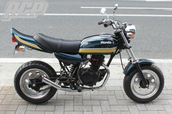 楽天市場】エイプ50 Z2タイプ専用 ゴールド/ホワイト ラインステッカー