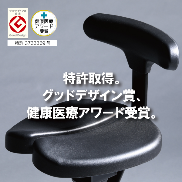 楽天市場】公式 脊柱管狭窄症 坐骨神経痛 前傾姿勢 反り腰 腰痛対策