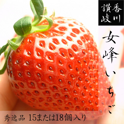 楽天市場】いちご イチゴ 苺 最高級 女峰 いちご 秀品 15個入 または