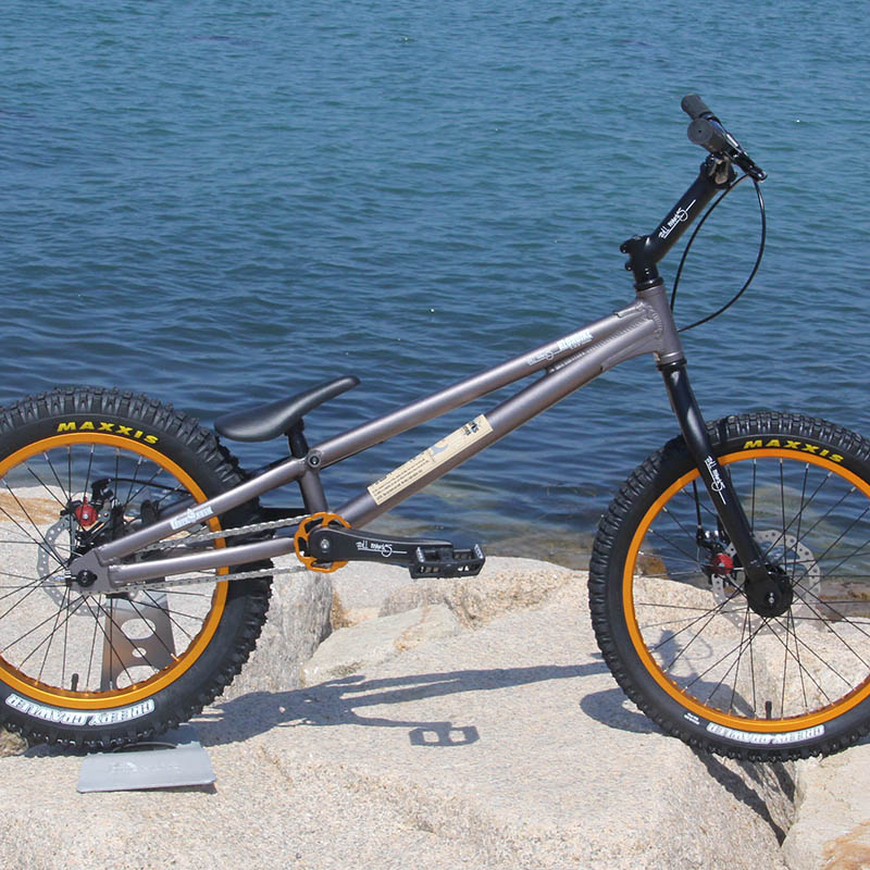 楽天市場】トライアル自転車FullMarks 20インチ【 COLOMA Disk