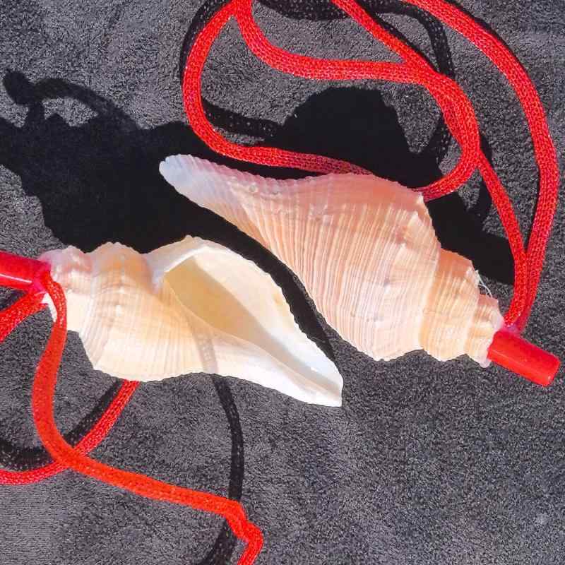 楽天市場】ほら貝 笛の通販