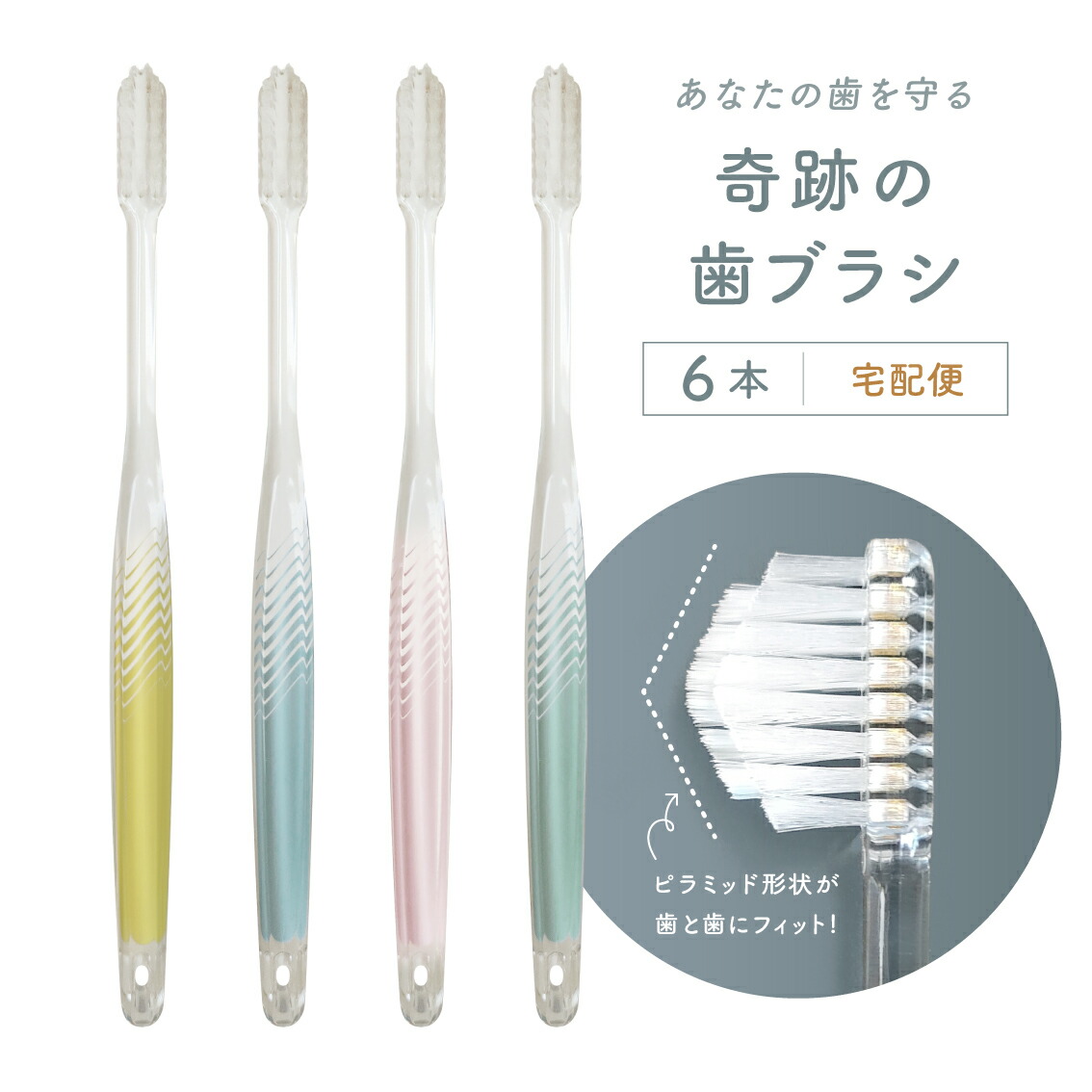 楽天市場】公式【送料無料】奇跡の歯ブラシ〈パステル〉 6本セット
