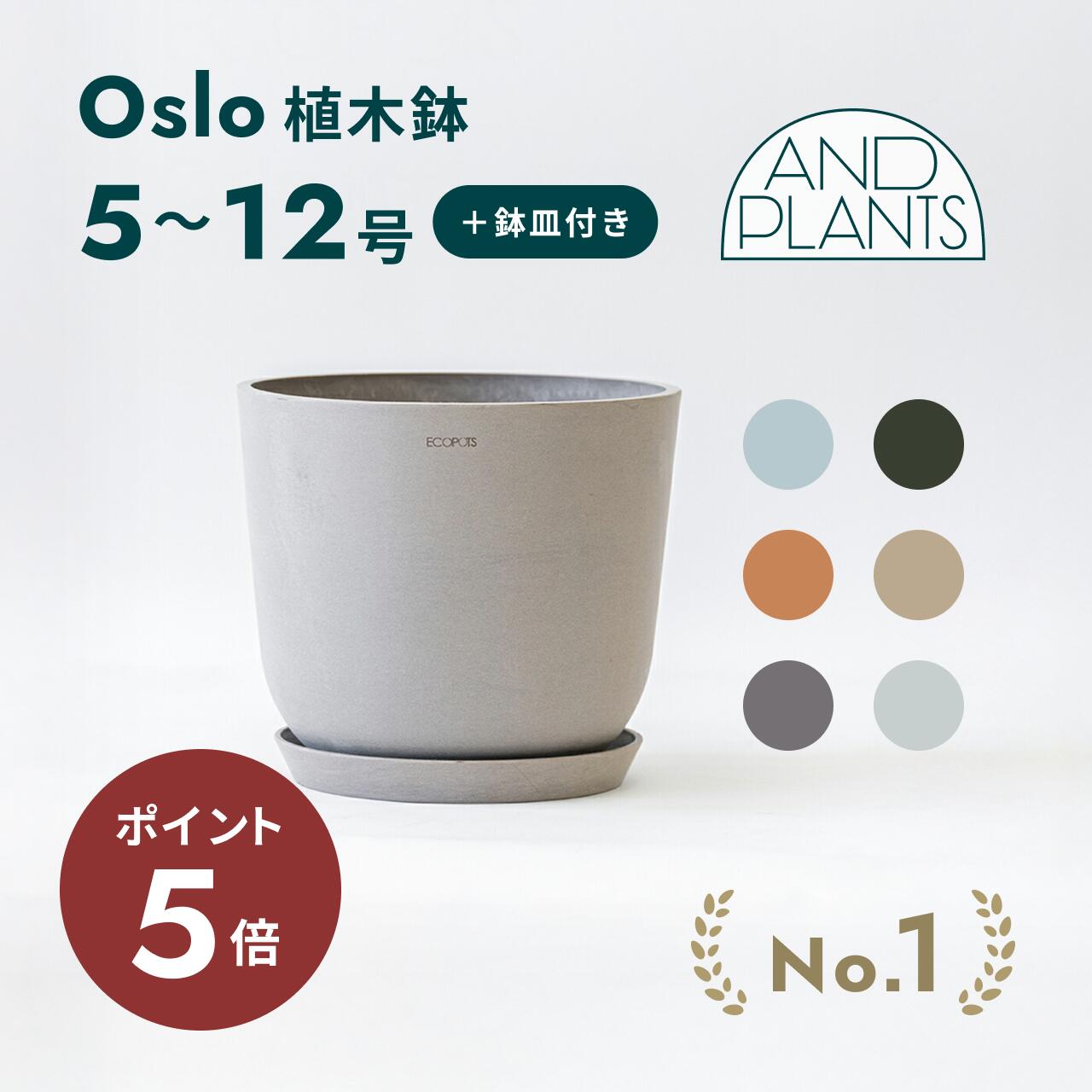 楽天市場】SUPREME シュプリーム 22SS 新品 植木鉢 Poggi Ugo Small