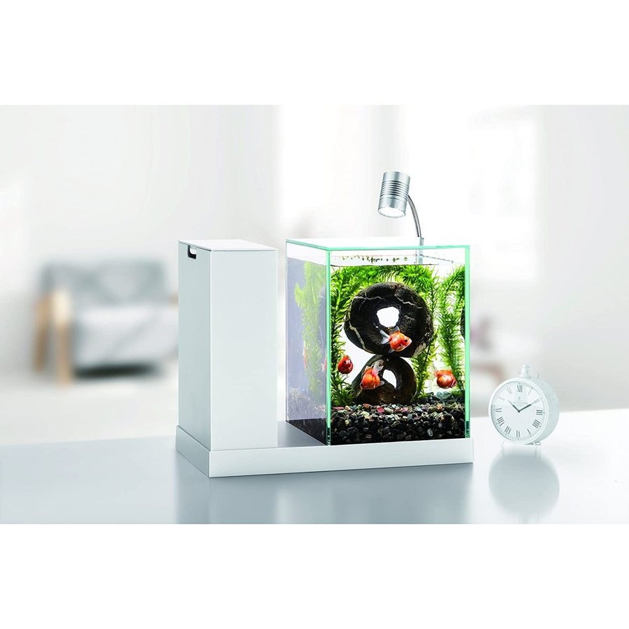 楽天市場】GEX AQUA-U (アクアユー)オールインワン水槽セット