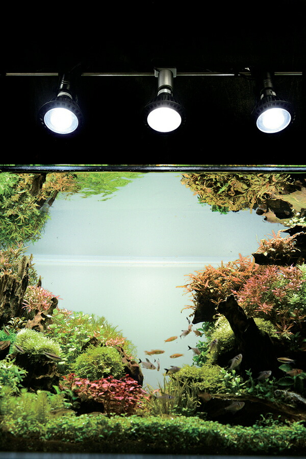 楽天市場】京セラ CERAPHIC いきもの電球 5000K(昼白色) : アクア