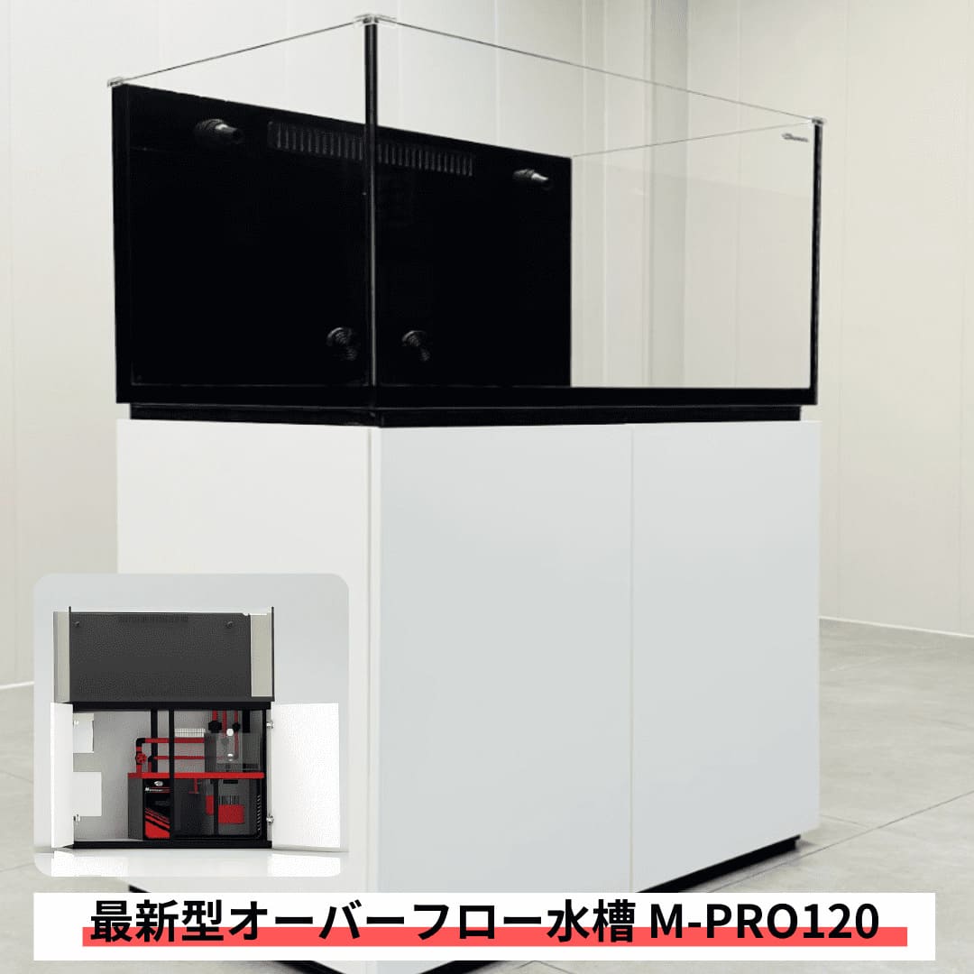 オーバーフロー水槽」の人気商品一覧 | 安い商品を通販サイトから探す