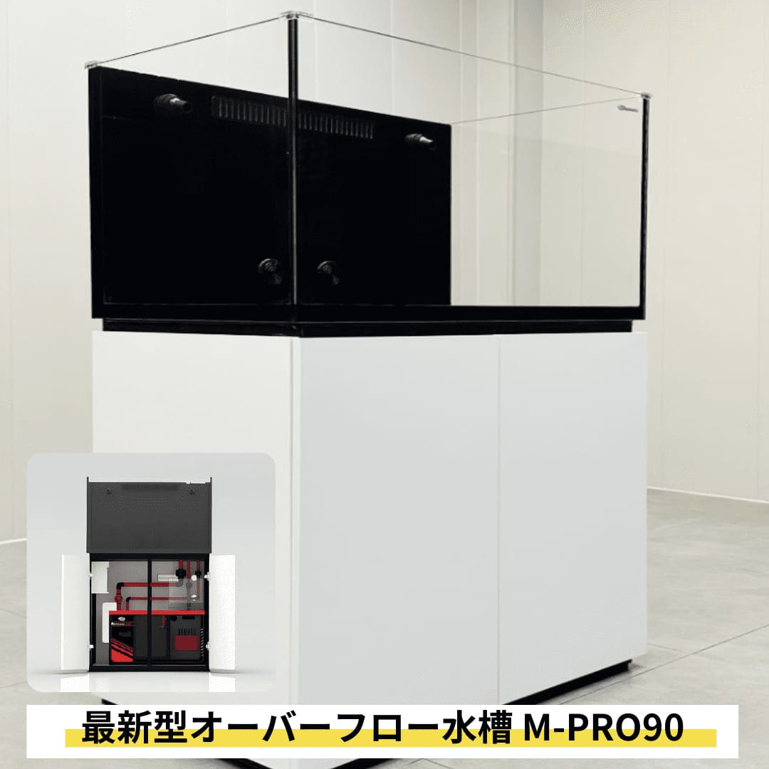 楽天市場】90cmオーバーフロー水槽 M-PRO90 2024年新型 全国配送対応