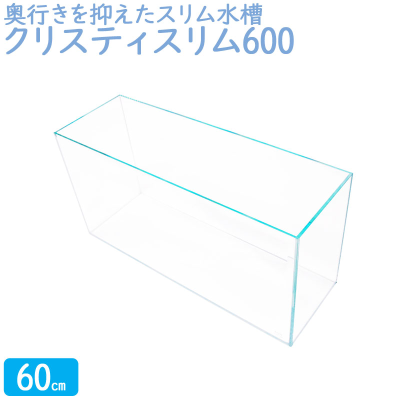 楽天市場】【楽天ランキング1位獲得】水槽 60cm ガラス水槽【60×20