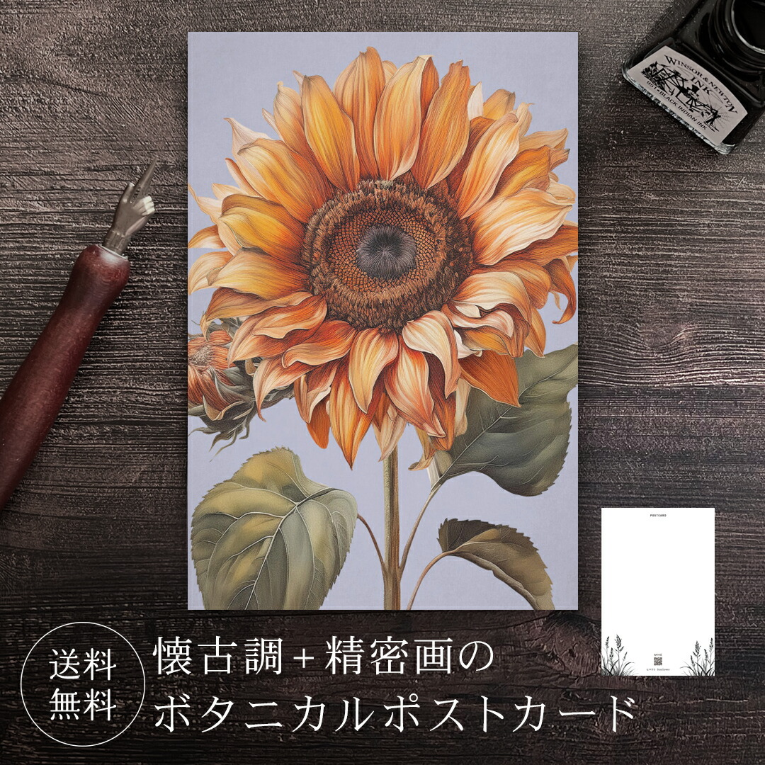 楽天市場】ポストカード ヒマワリ 【送料無料】 ボタニカル 葉書