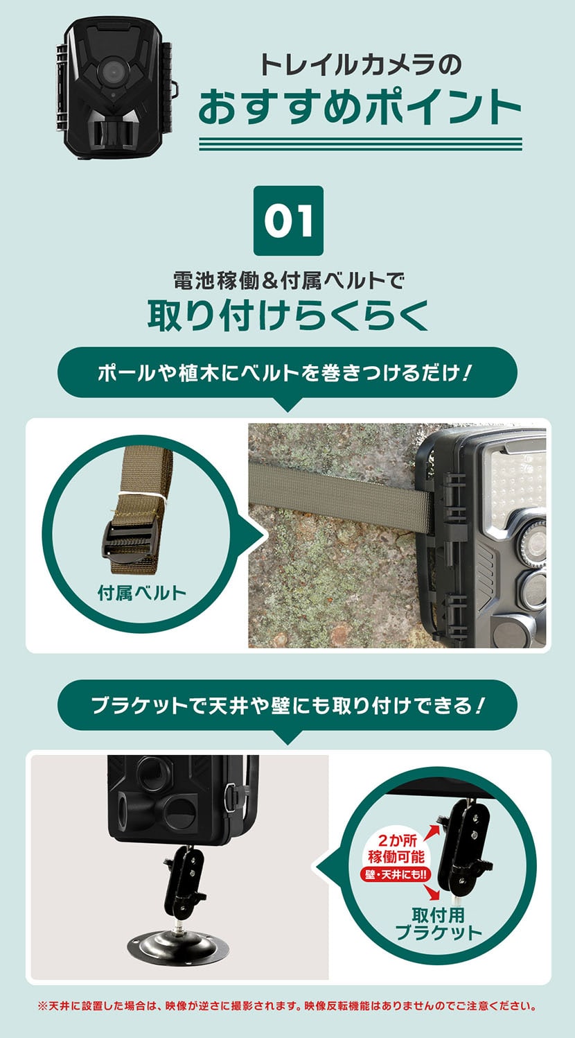 楽天市場】[楽天1位&送料無料] 1年保証 トレイルカメラ 電池式 高品質