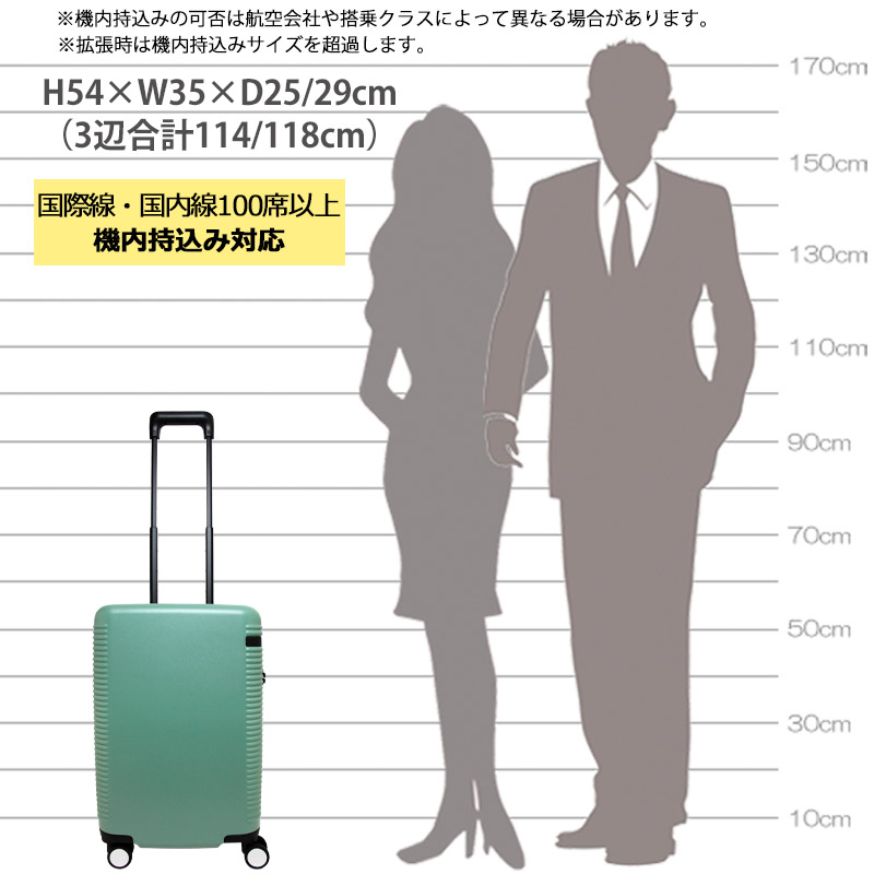 楽天市場】P10倍 エース ace. スーツケース ウォッシュボードZd 06454