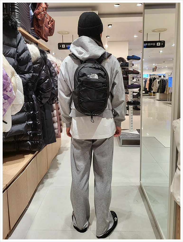 楽天市場】☆送料無料☆[THE NORTH FACE] NM2DQ26 BOREALIS MINI