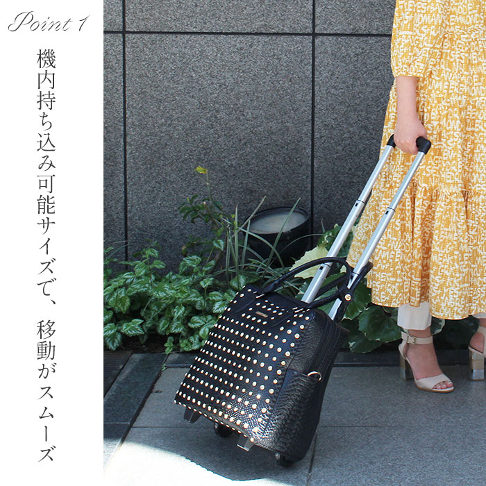 楽天市場】【最大2,000円OFFクーポン配布中】ABISTE メタリック