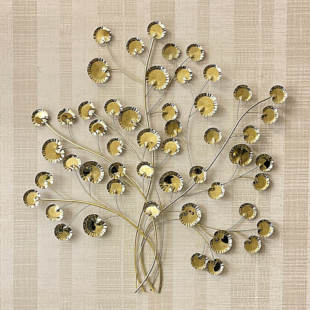 imgrc0093011466.jpg